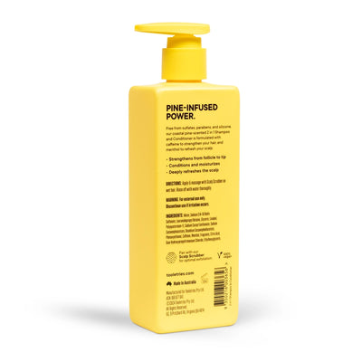 2-in-1 Men’s Shampoo & Conditioner – Coastal Pine