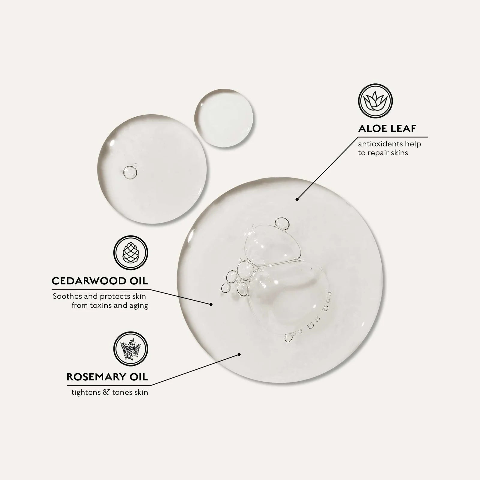 All-in-One Body Wash | Body wash | LOSHEN & CREM