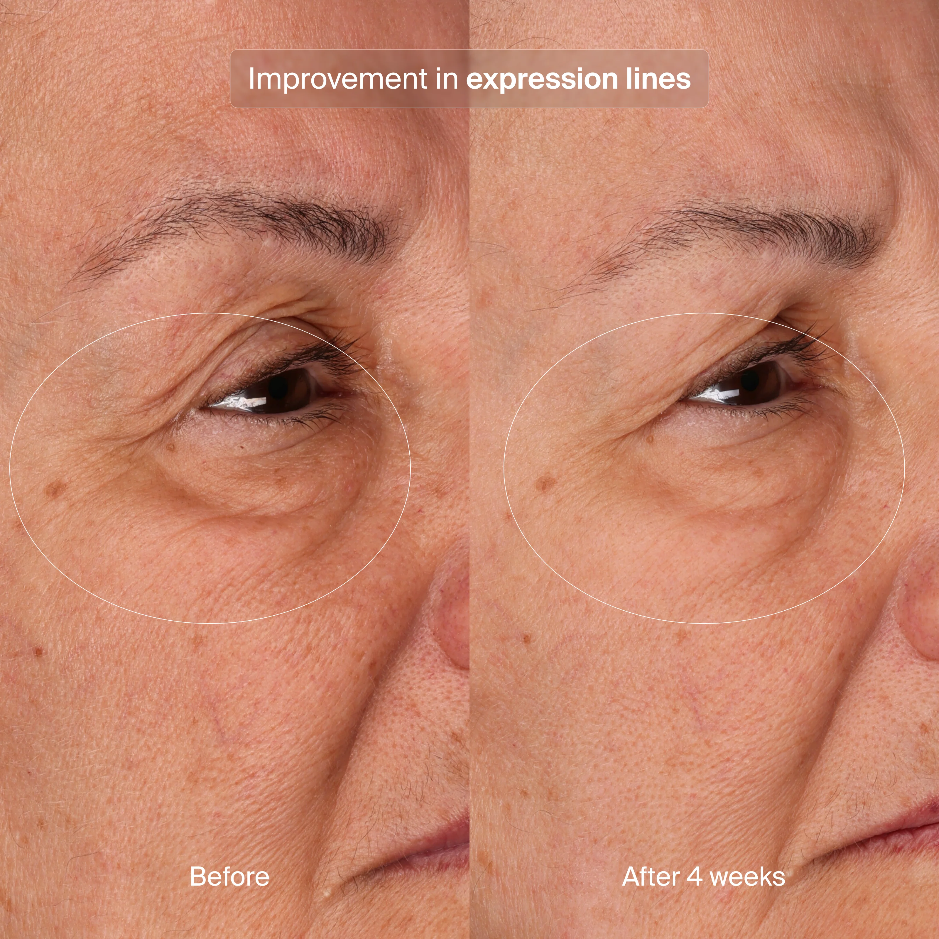 Pavise Bioadaptive Stress Repair | Serum - Advanced Regenerative | LOSHEN & CREM