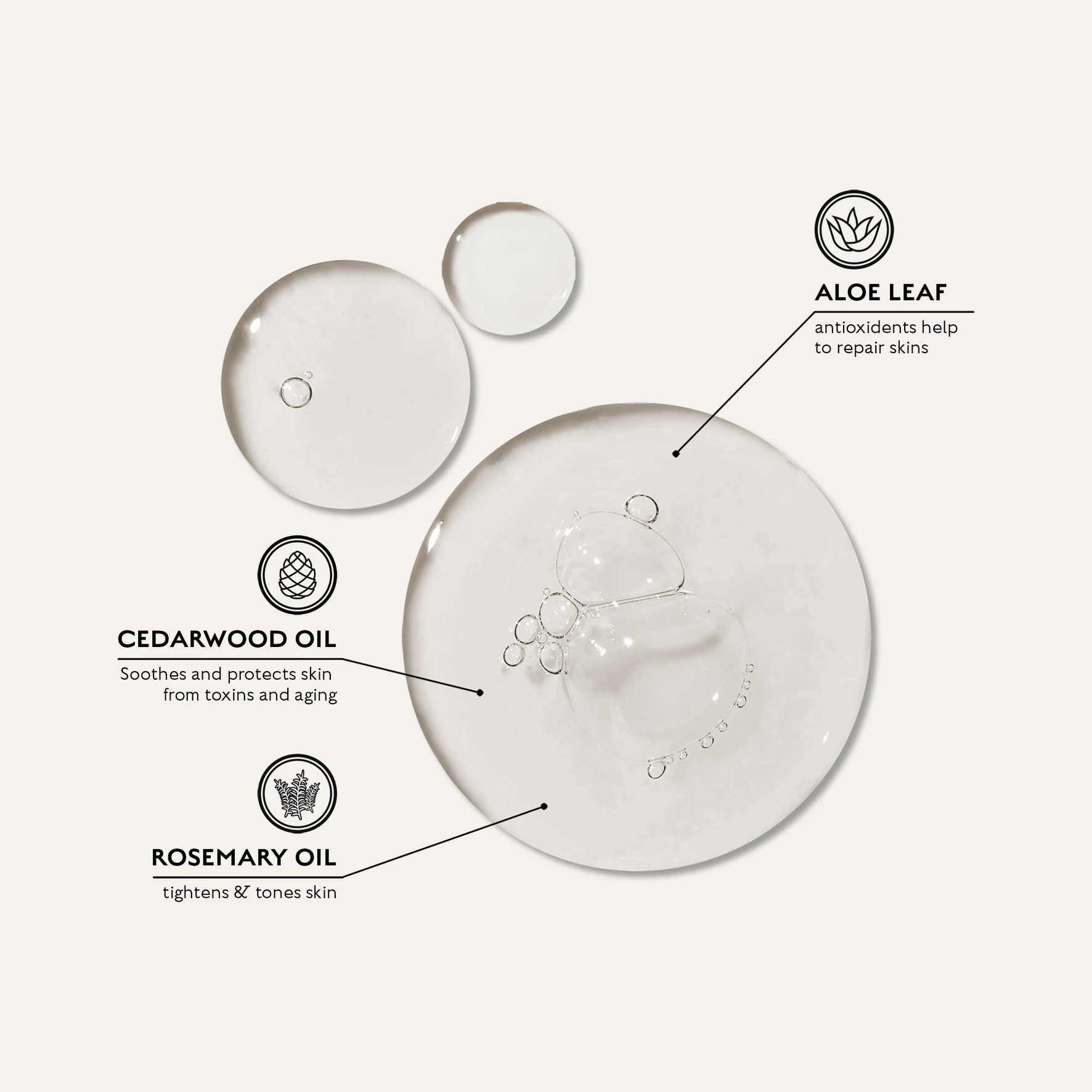 All-in-One Body Wash | Body - Shower gel | LOSHEN & CREM