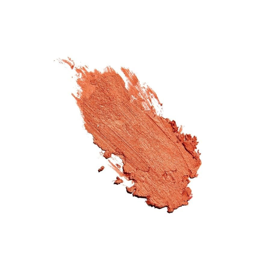 Sunforgettable® Total Protection® Color Balm SPF 50 | Blush | LOSHEN & CREM