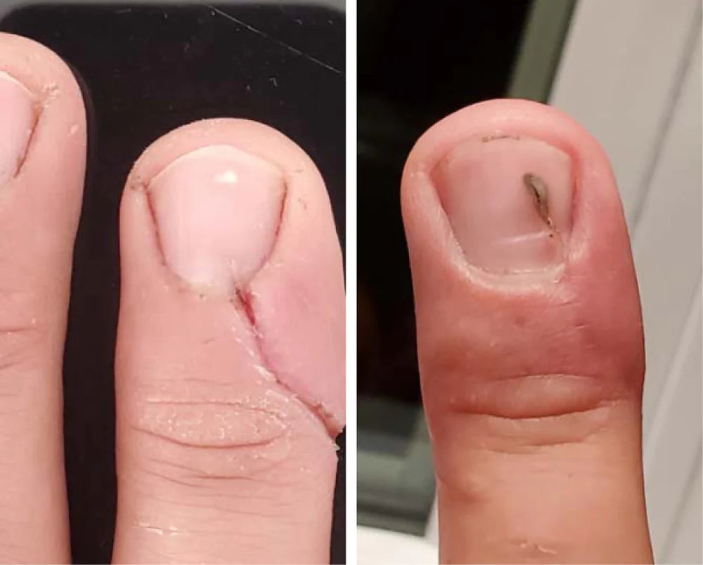 Derma Collagen™ regenerative gel | Healthy aging serum | LOSHEN & CREM