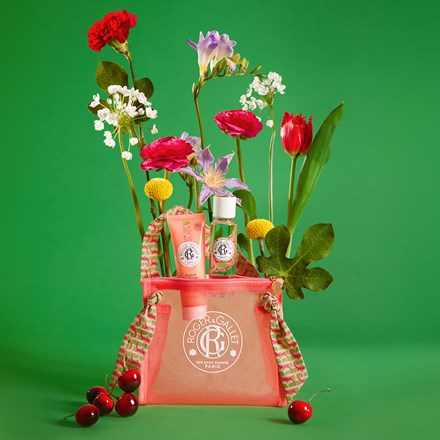 Fleur de Figuier Sundrenched set | Value set | LOSHEN & CREM