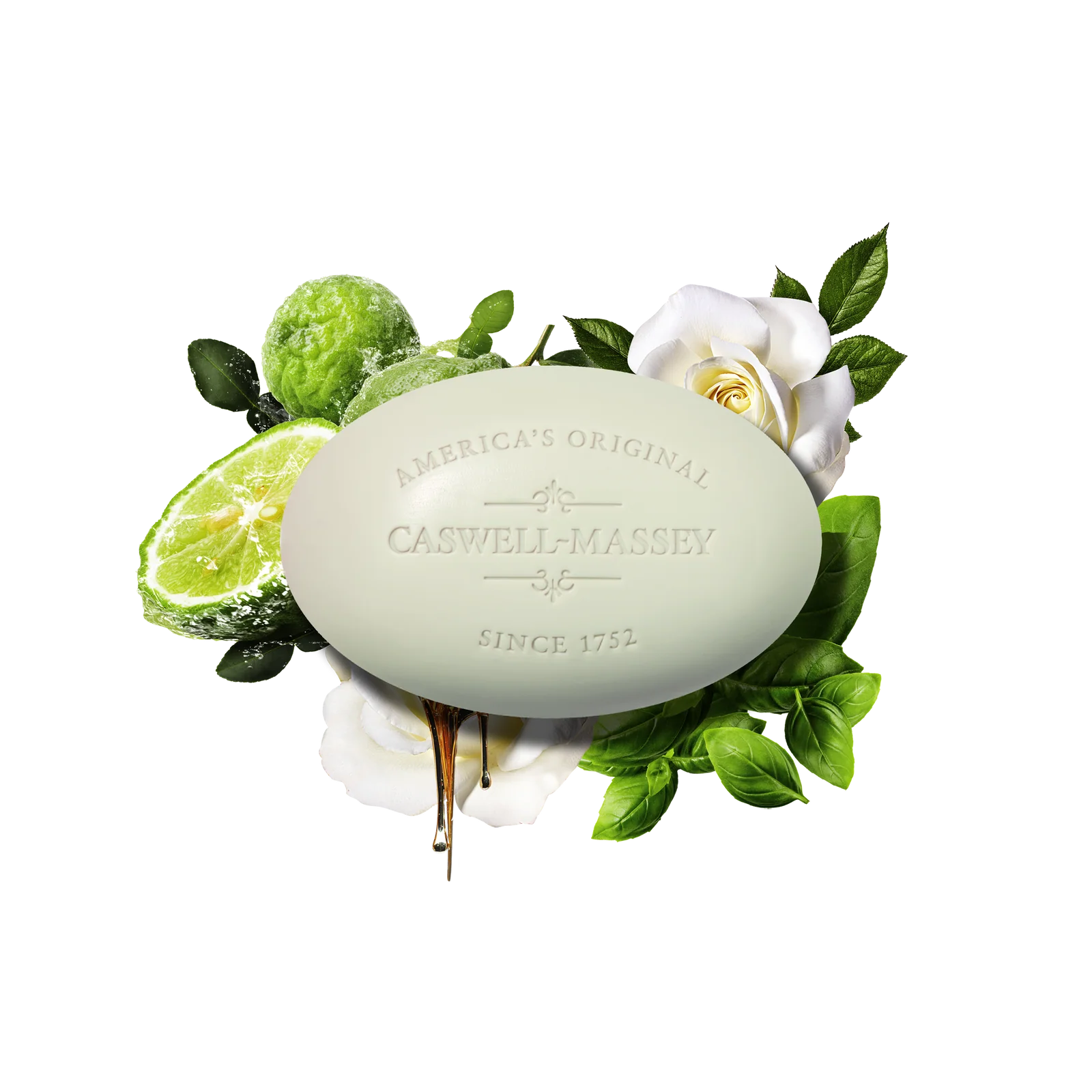 Jockey Club Bar Soap | Body - Bar soap | LOSHEN & CREM