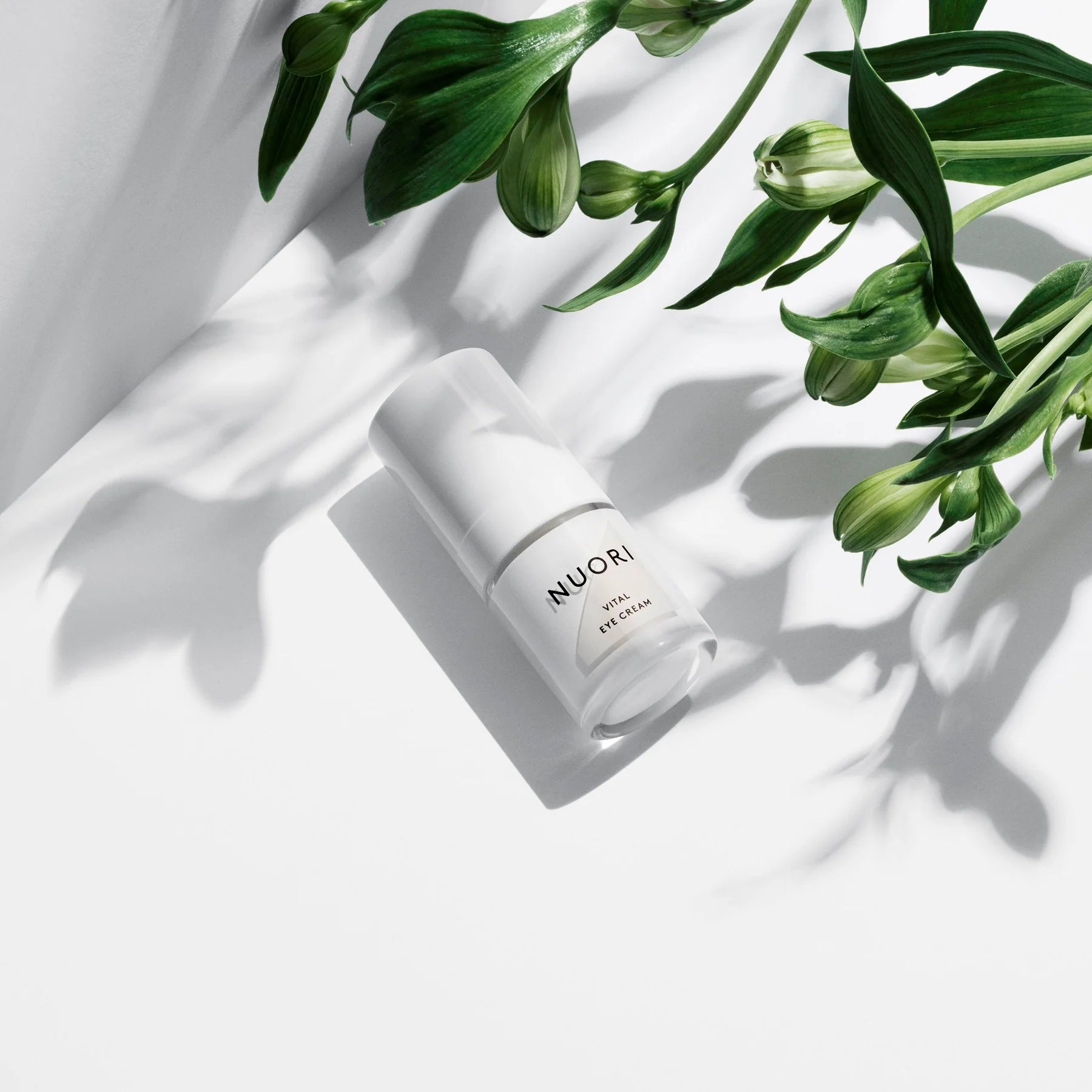 Vital Eye Cream | Eye - Soothing | LOSHEN & CREM