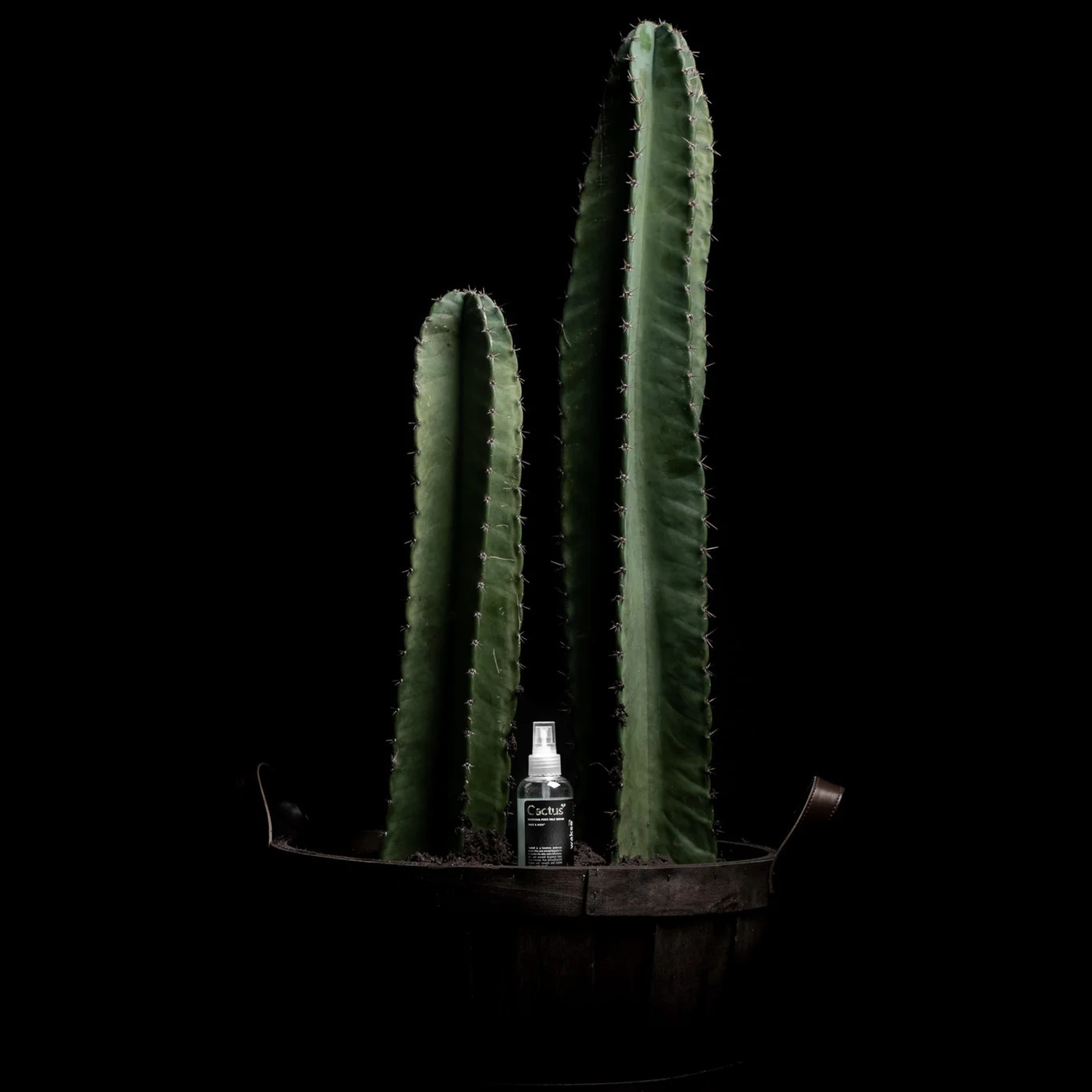 Post-Wax Calming Serum – Cactus H2O | Body - Post-wax serum | LOSHEN & CREM