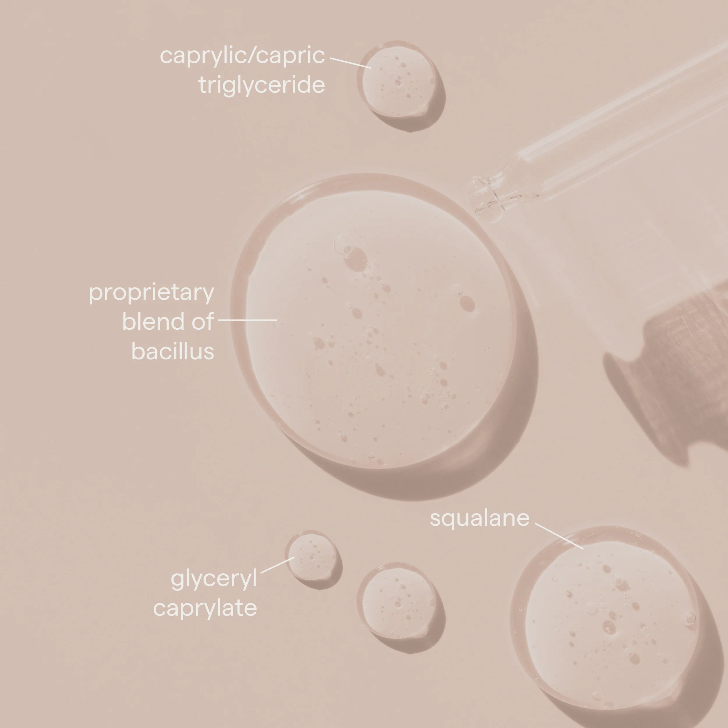 SIV™ Biome-Balancing Serum | Microbiome serum | LOSHEN & CREM