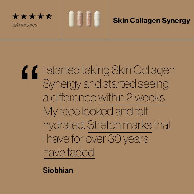 Advanced Nutrition Programme Skin Collagen Synergy