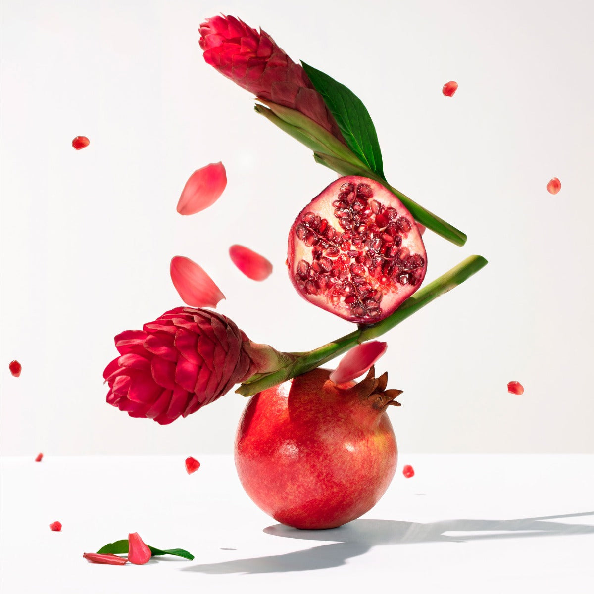 Gingembre Rouge Wellbeing Body Lotion | Body cream | LOSHEN & CREM