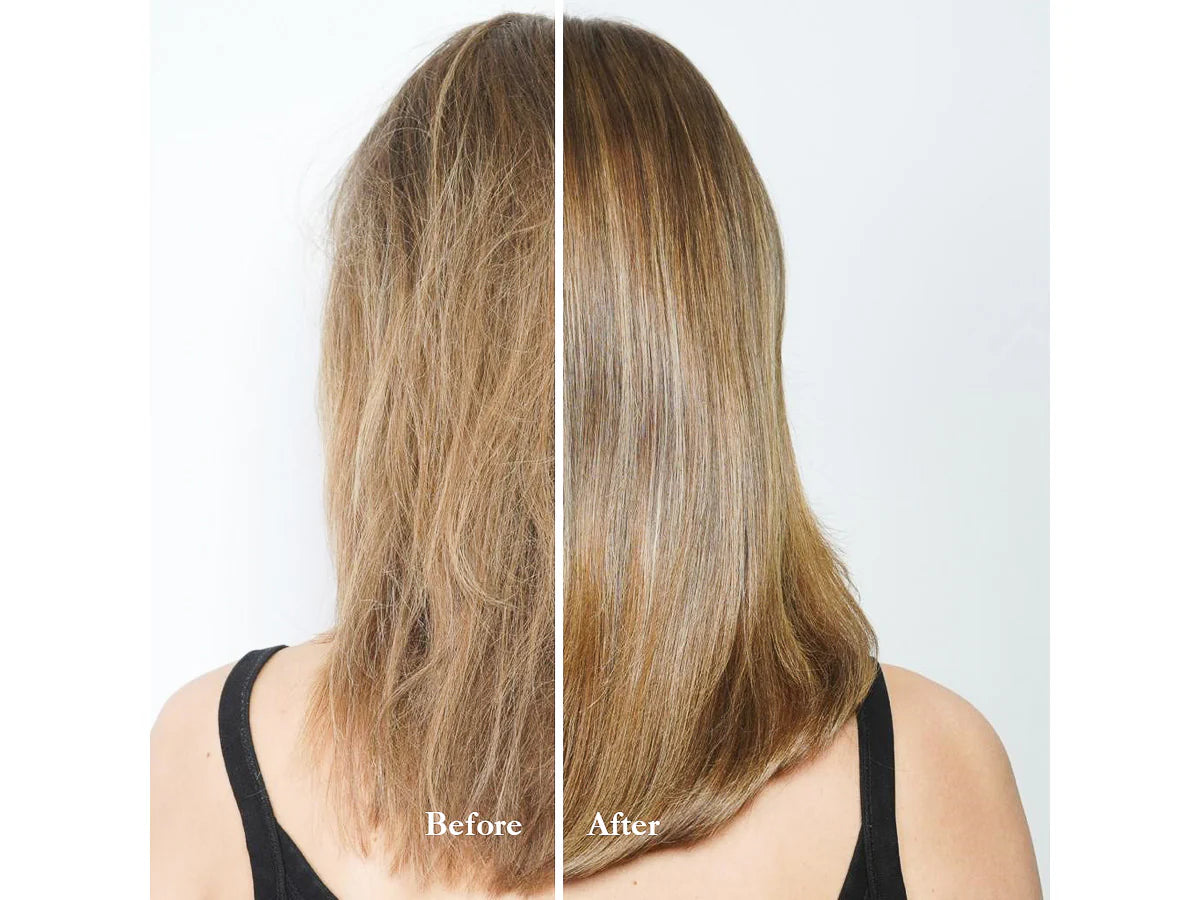 Color & Shine Shampoo | Shampoo - Color care | LOSHEN & CREM