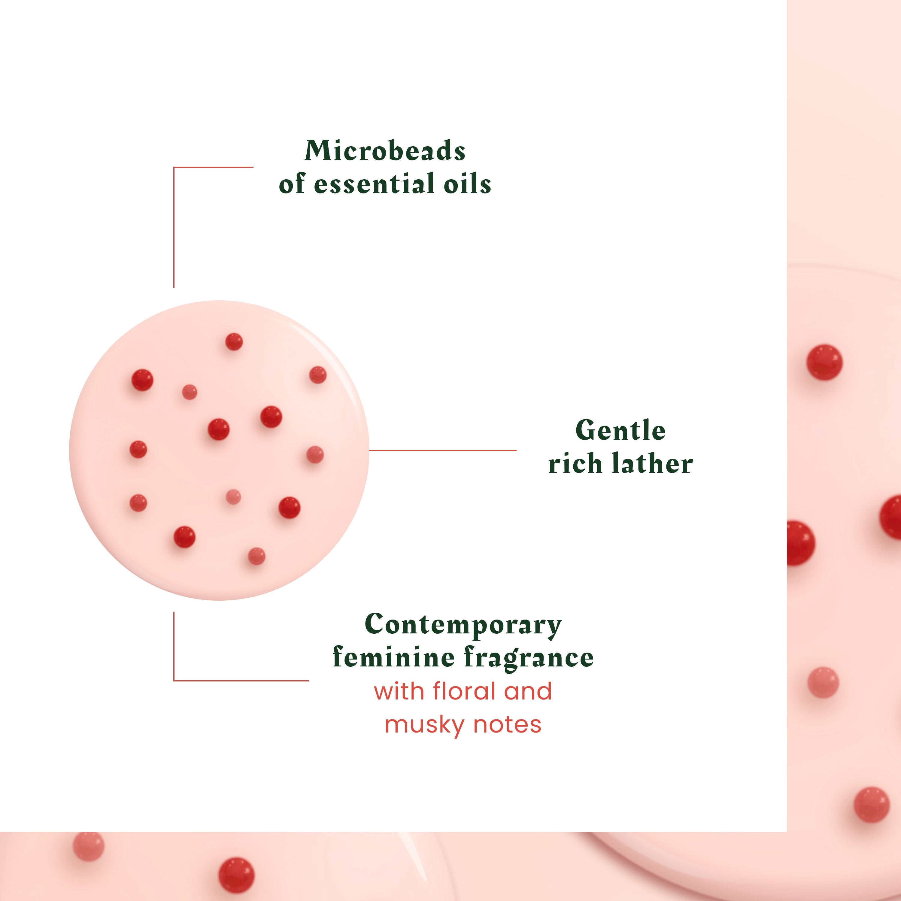 Tonucia Replumping Shampoo | Densifying Shampoo | LOSHEN & CREM