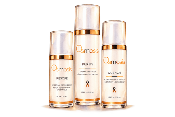 Watercolor illustration of the Osmosis collection at Loshen & Crem