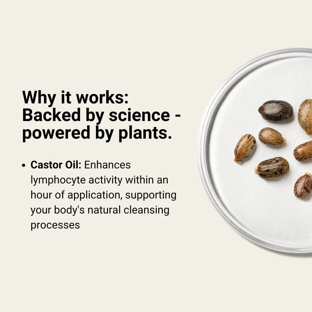 somedays Belly Jelly | Body - Castor oil | LOSHEN & CREM