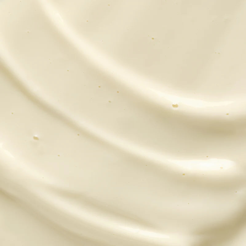 Body Strategist Thermo Cream | Body - Cellulite care | LOSHEN & CREM