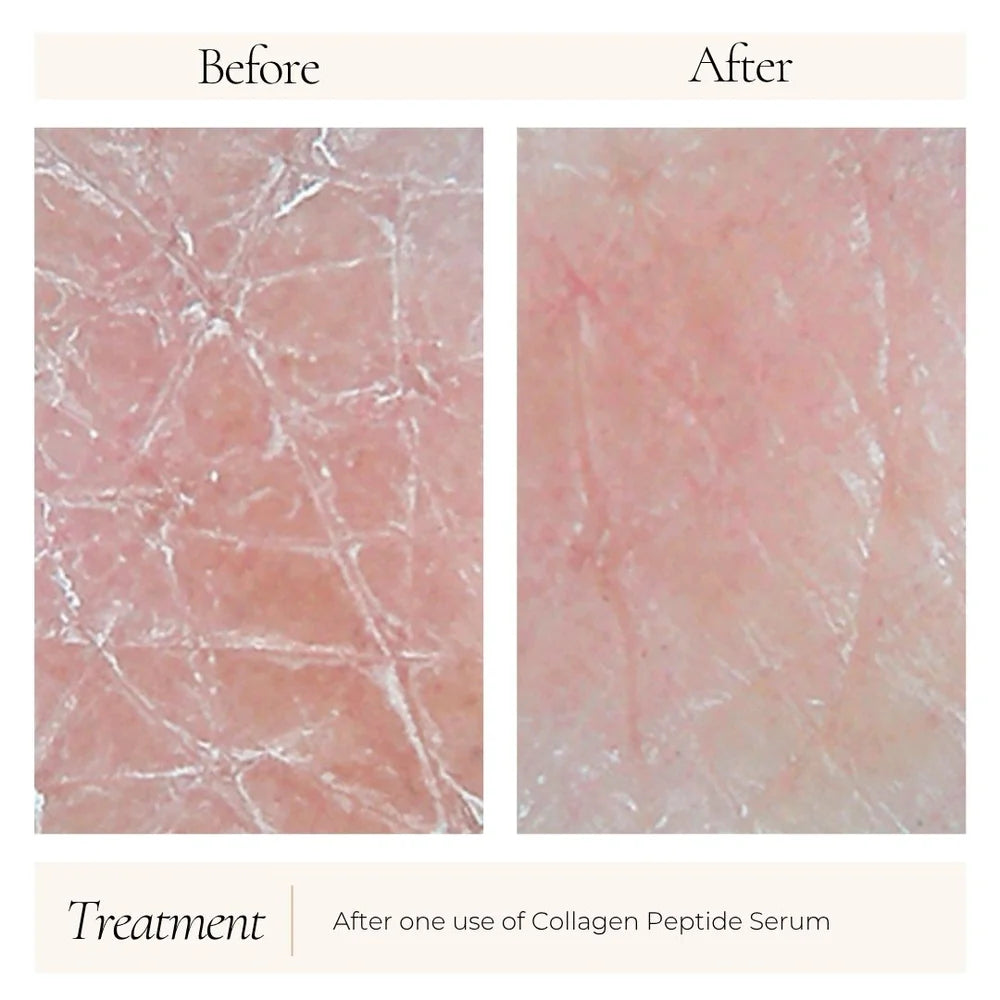 Le Mieux Collagen Peptide Serum 1 oz Hya10+ multi-peptide firming treatment before and after