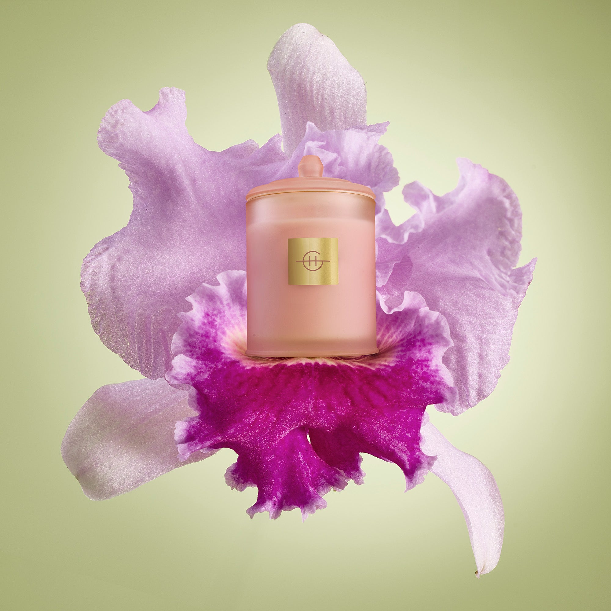 Radiance in Bloom – Candle | Candle - Triple Scented Soy | LOSHEN & CREM
