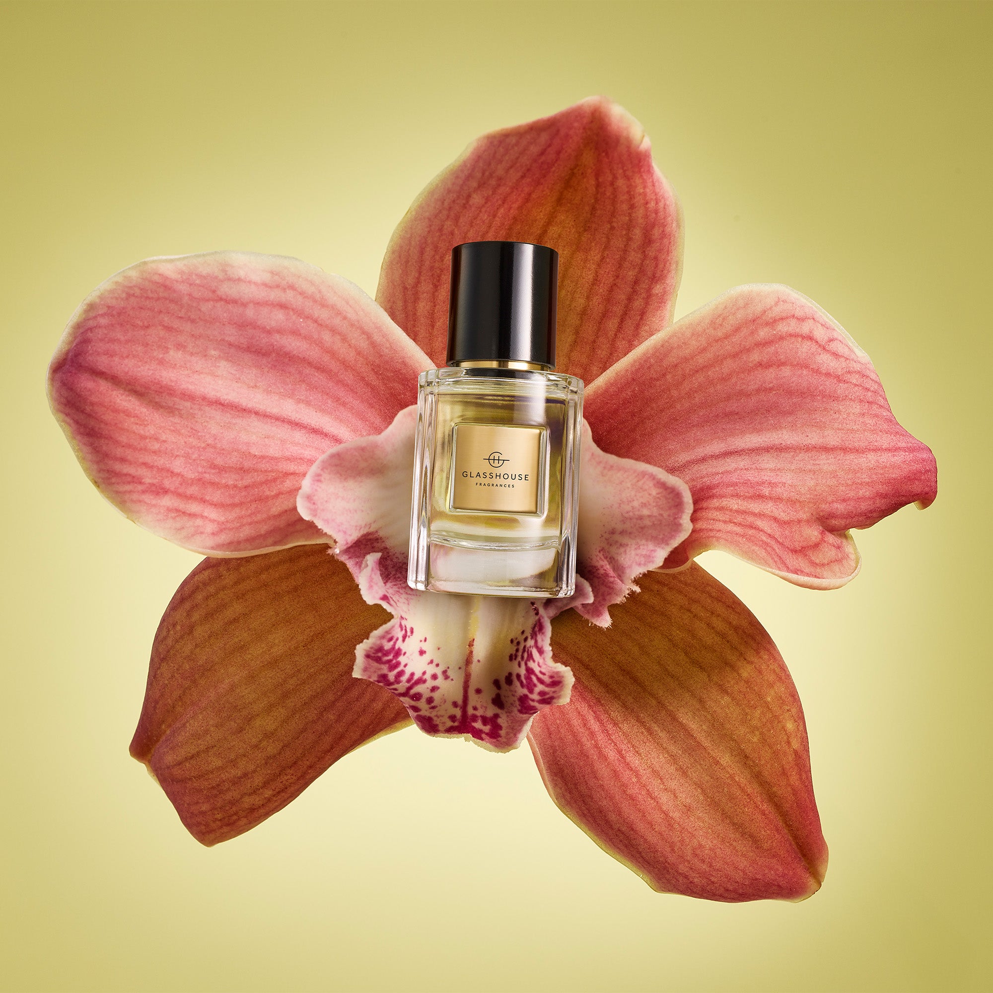 Tuberose Immortelle – Eau de Parfum | Fragrance - Eau de parfum | LOSHEN & CREM