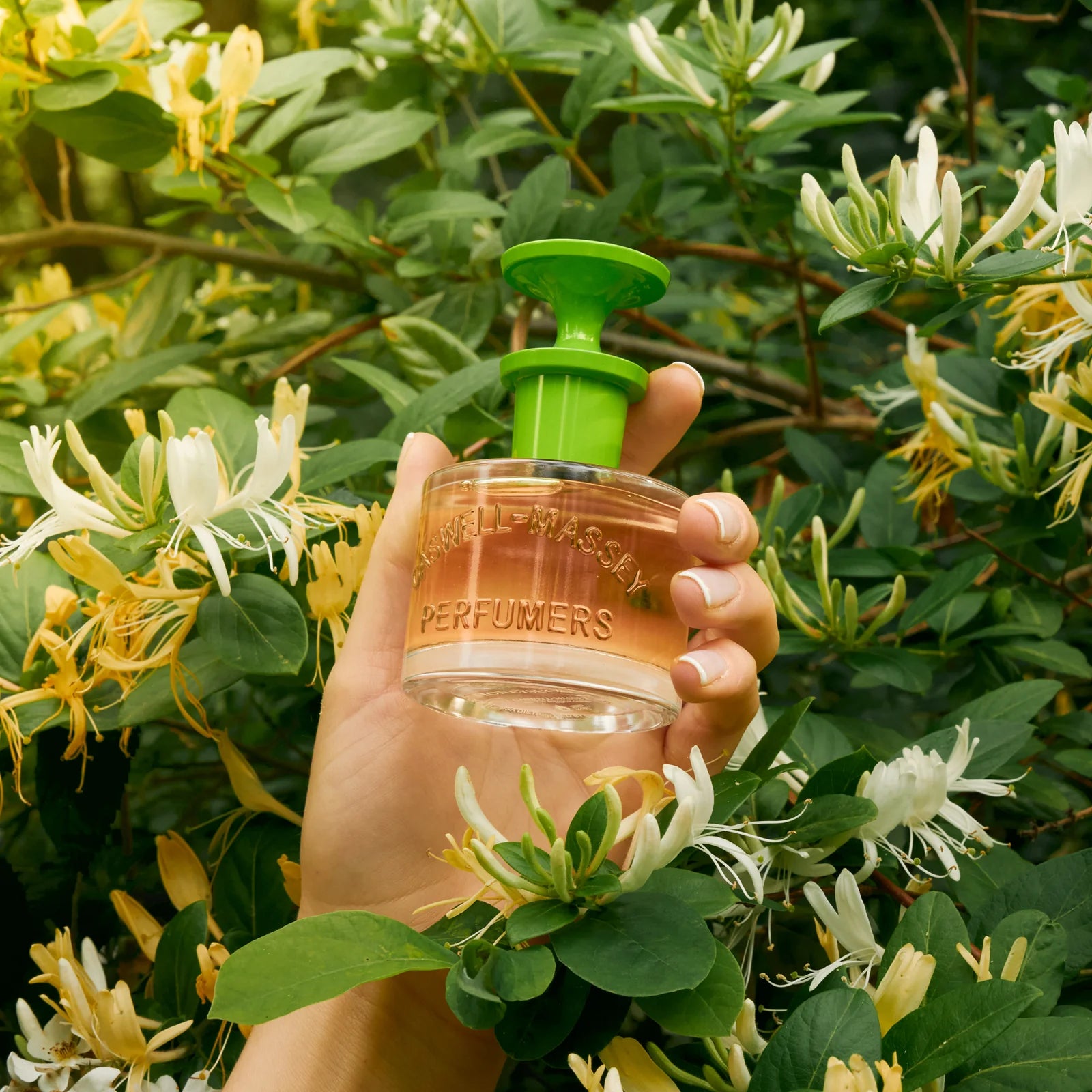Honeysuckle Eau de Toilette | Eau de toilette | LOSHEN & CREM