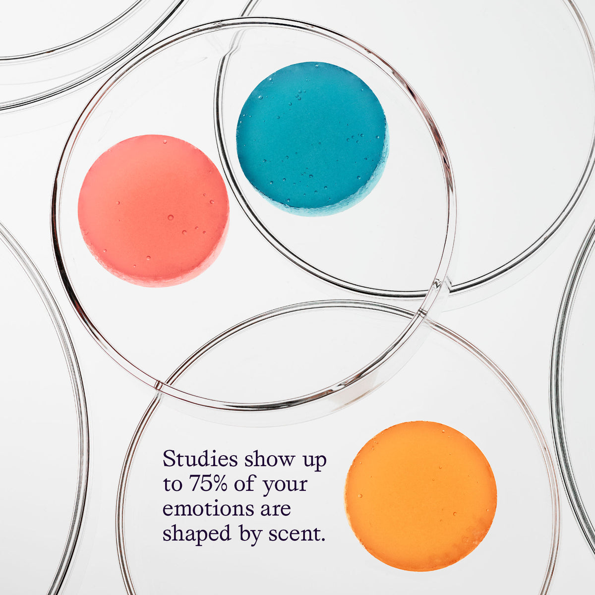 Joonbyrd Mood Jellies | Fragrance - Functional Fragrance | LOSHEN & CREM