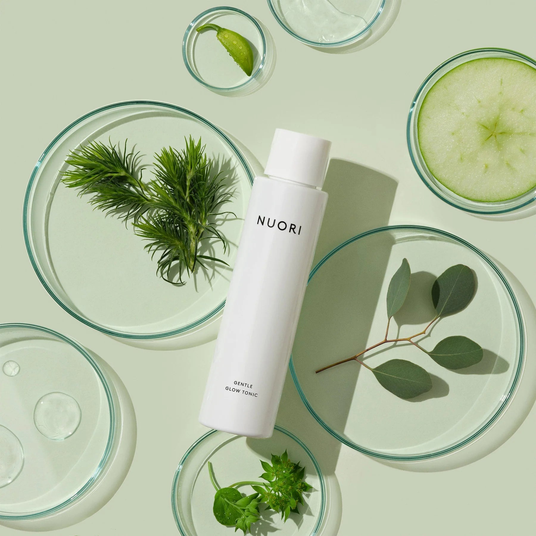 GENTLE GLOW TONIC | AHA toner | LOSHEN & CREM