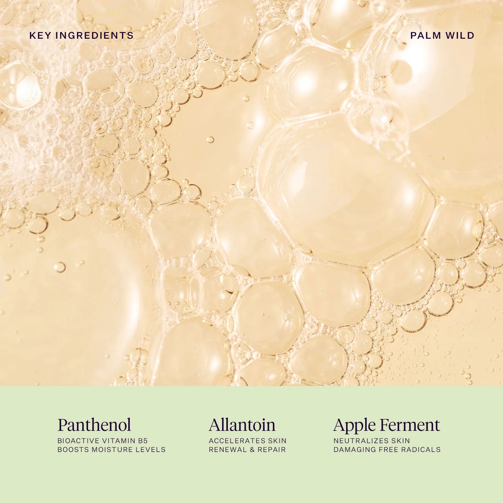 Palm Wild Replenishing Hand Wash | Hand - Wash | LOSHEN & CREM