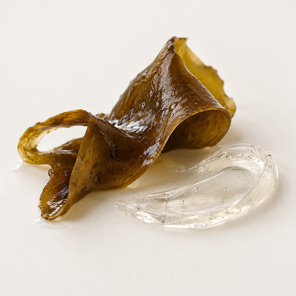 Alginate de sodium + collagène hydrolysé 