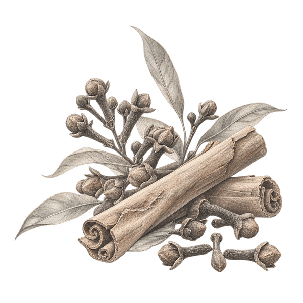 Fragrance-note illustration