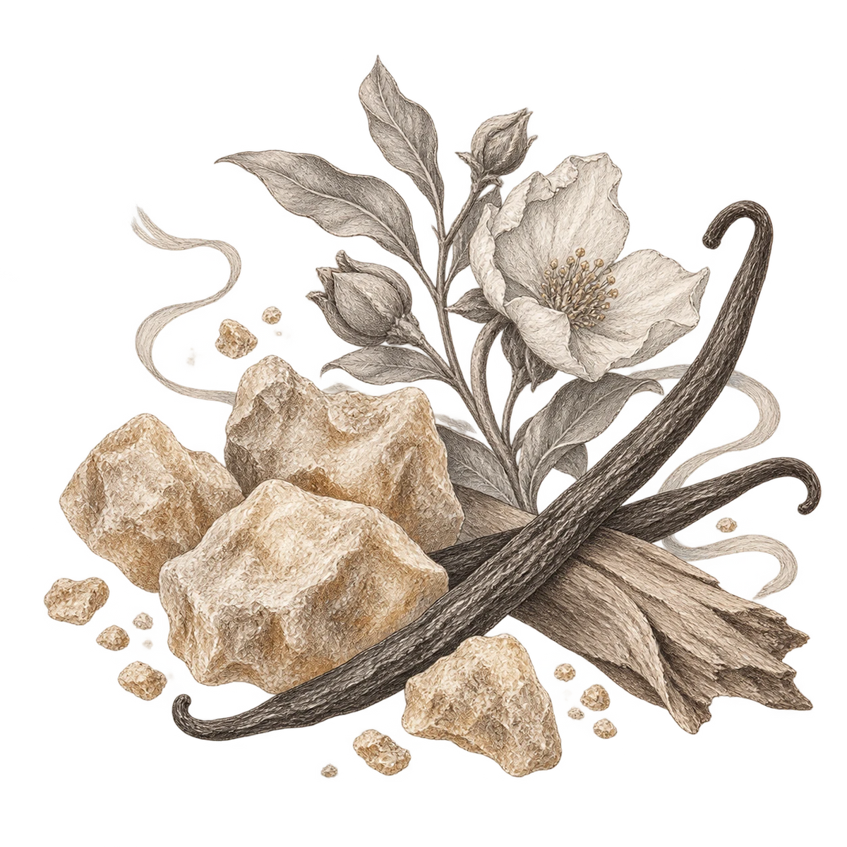 An illustrative still life for the Amber scent family.