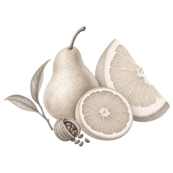 Fragrance-note illustration