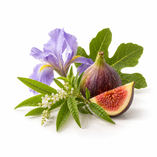 Fragrance-note illustration