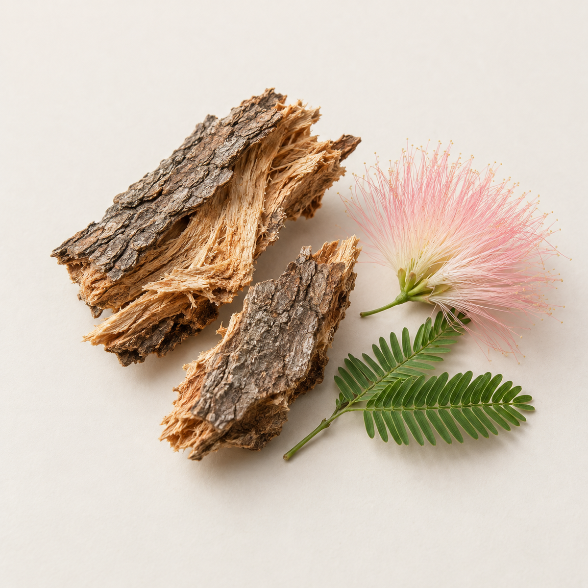 Extrait d'écorce d'Albizia julibrissin (arbre à soie) 