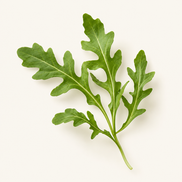 Hydrolyzed Eruca Sativa Leaf 