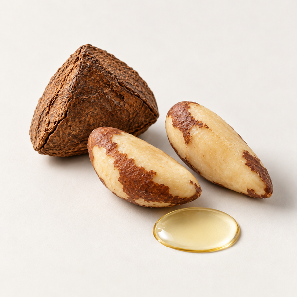 Brazil Nut Oil