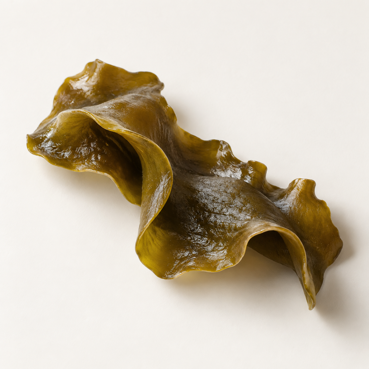 Fucus Vesiculosus Extract