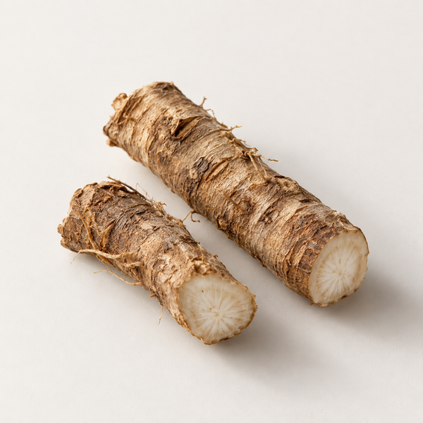 Arctium Lappa (Burdock) Root Extract 