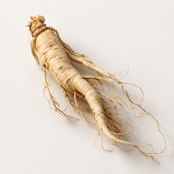 Panax Ginseng Root Extract