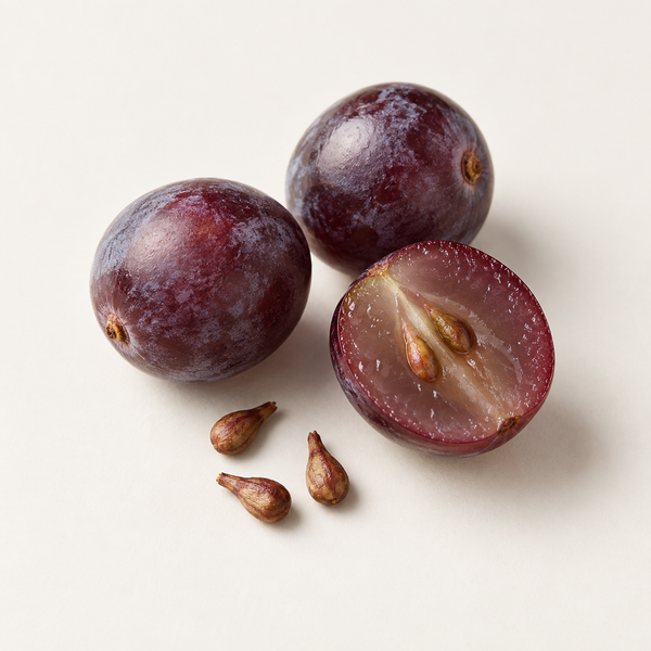 Grape Seed Oil