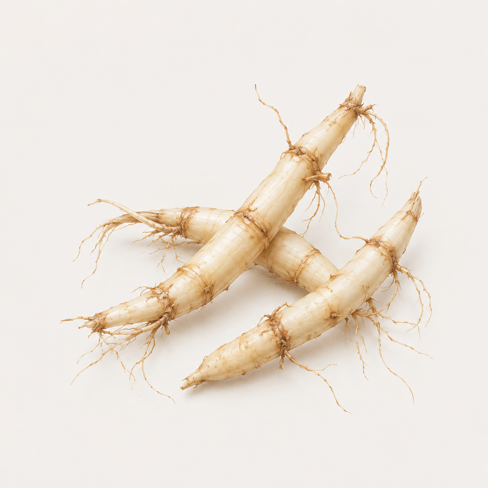 Imperata Cylindrica Root Extract (K-MOIST)