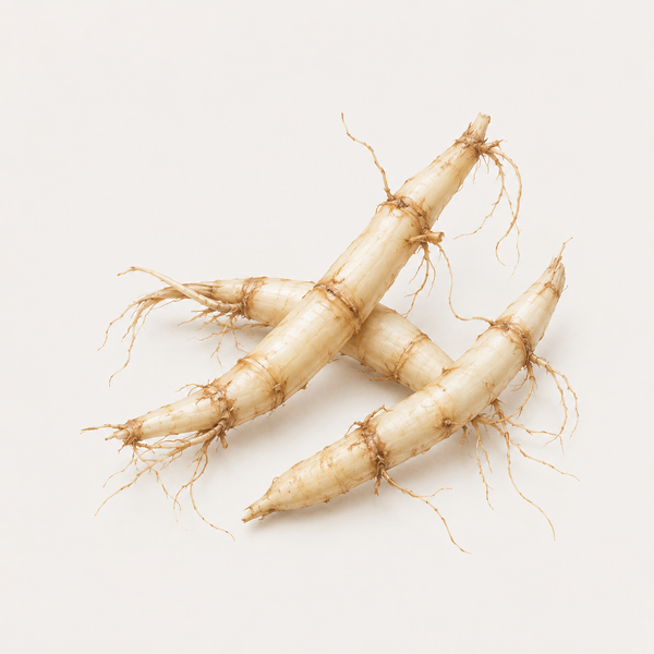 Imperata Cylindrica Root Extract (K-MOIST) 