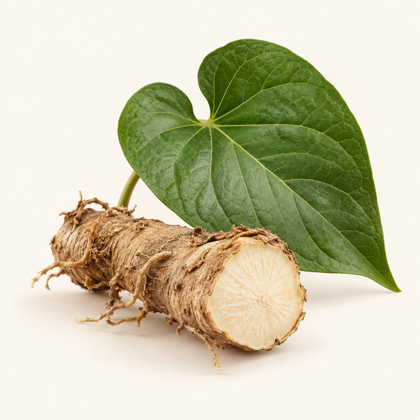 Piper Methysticum Extract