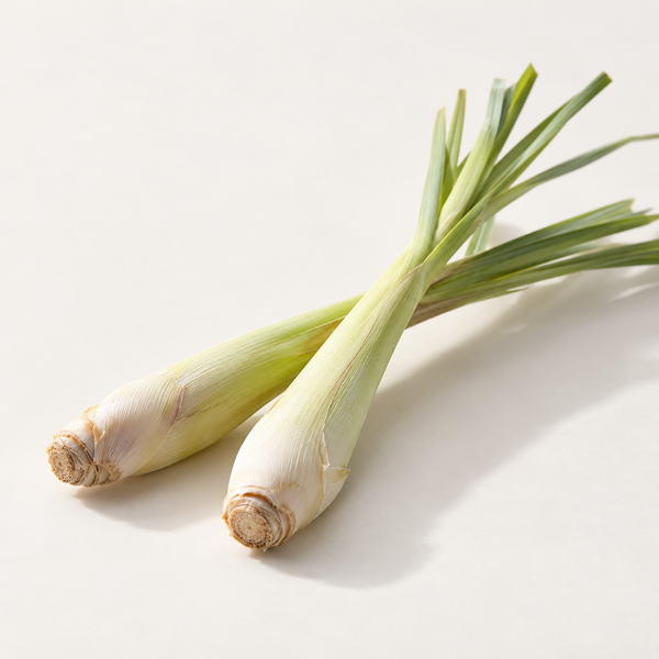 Lemongrass Extract