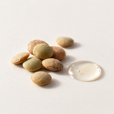 Lentil Seed Extract