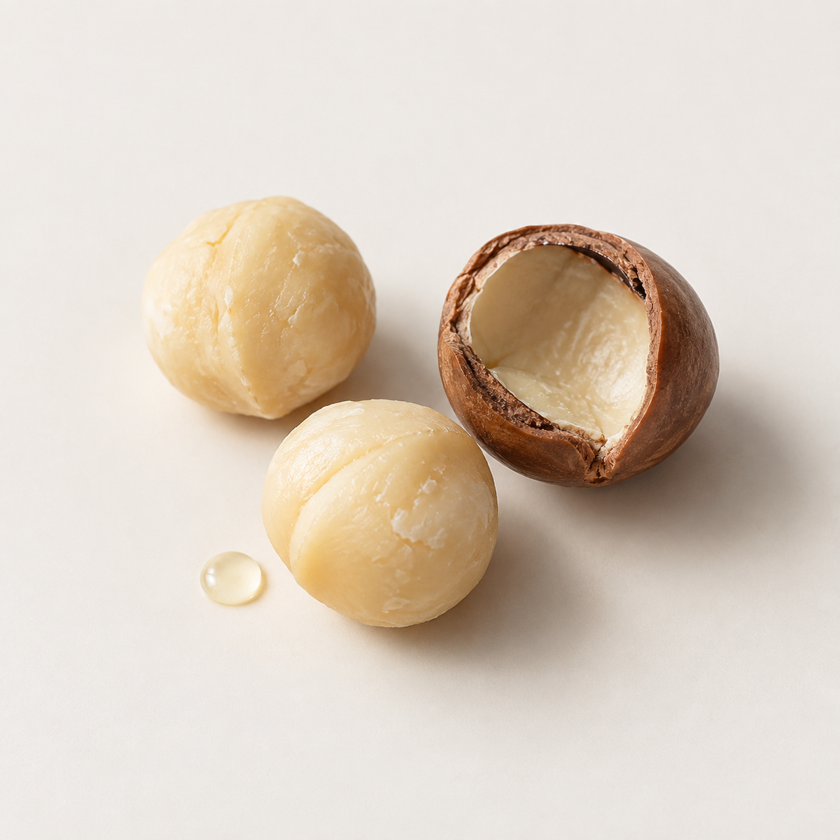Macadamia seed oil