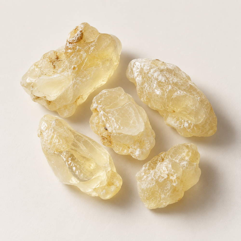 Pistacia Lentiscus (Mastic) Gum (Reti-Boost)