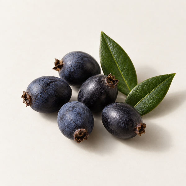 Myrtle Berry Extract