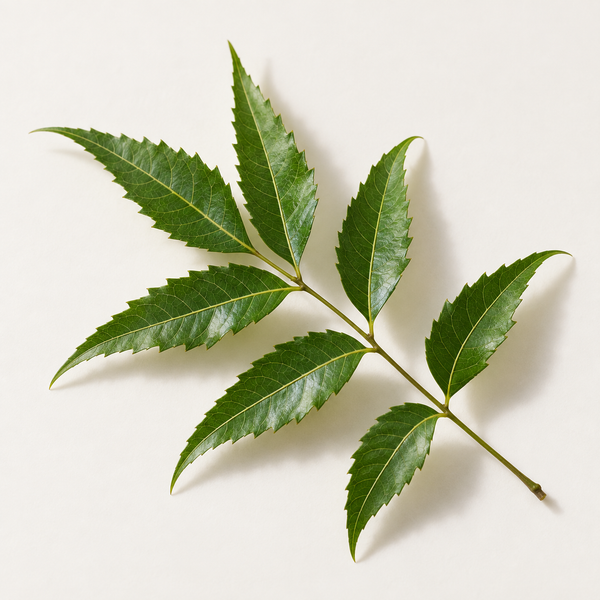 Neem, shikakai and green tea