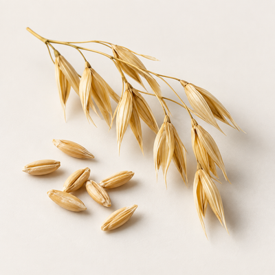 Oat protein