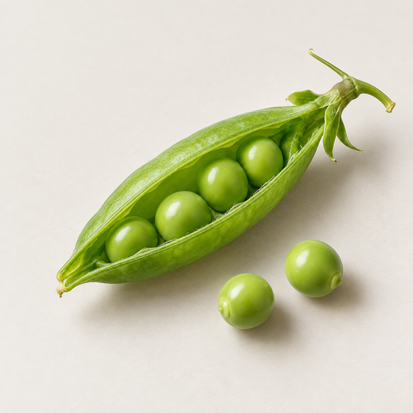 Pisum Sativum (Pea) Extract (extrait de pois) 