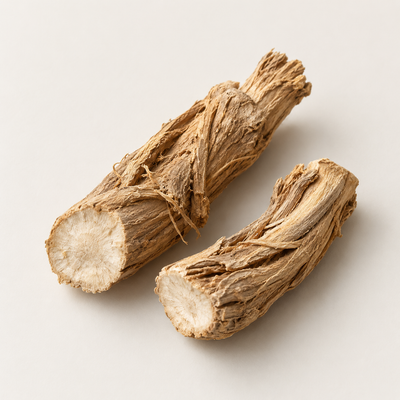 Paeonia Lactiflora (Peony) Root Extract
