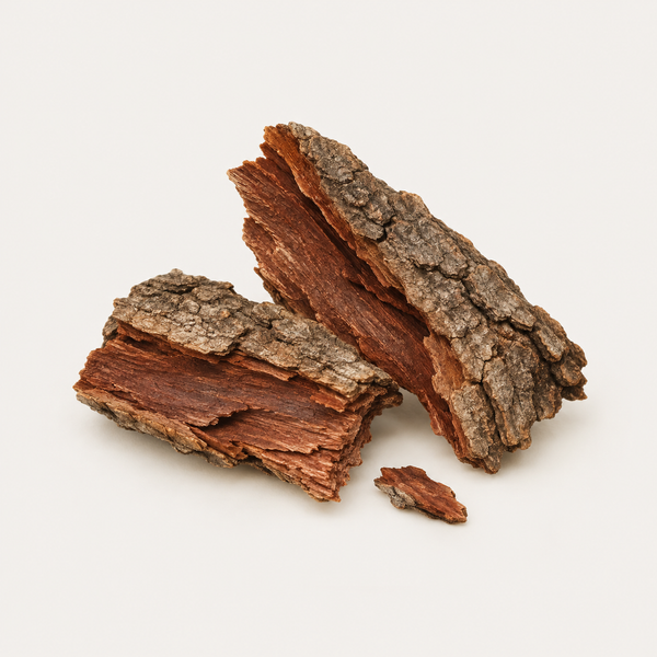 Pterocarpus Marsupium Bark Extract